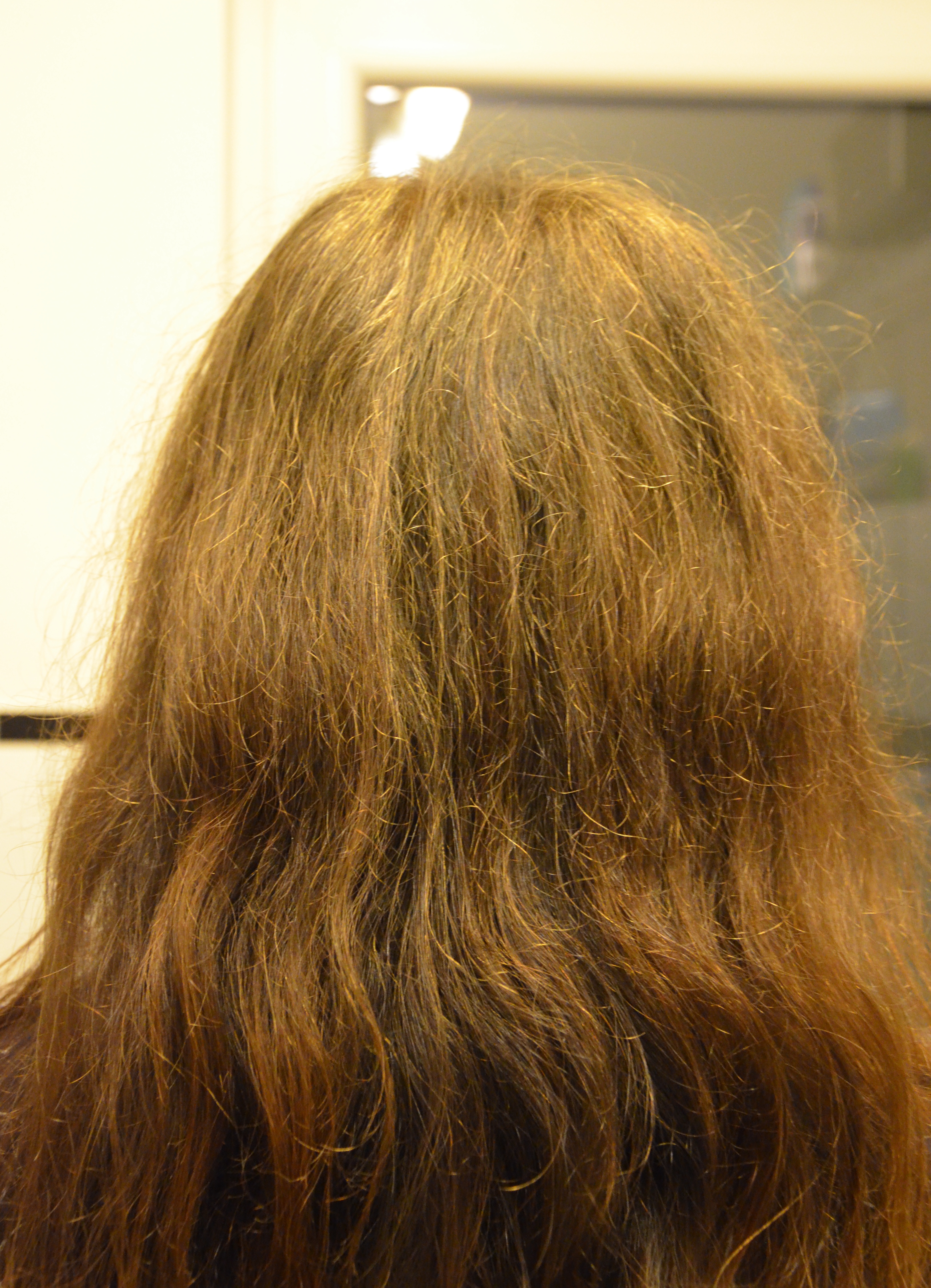 identificatie goud Evacuatie Gegen das Grau und für mehr Farbe in meinem Haar - Lavendelblog