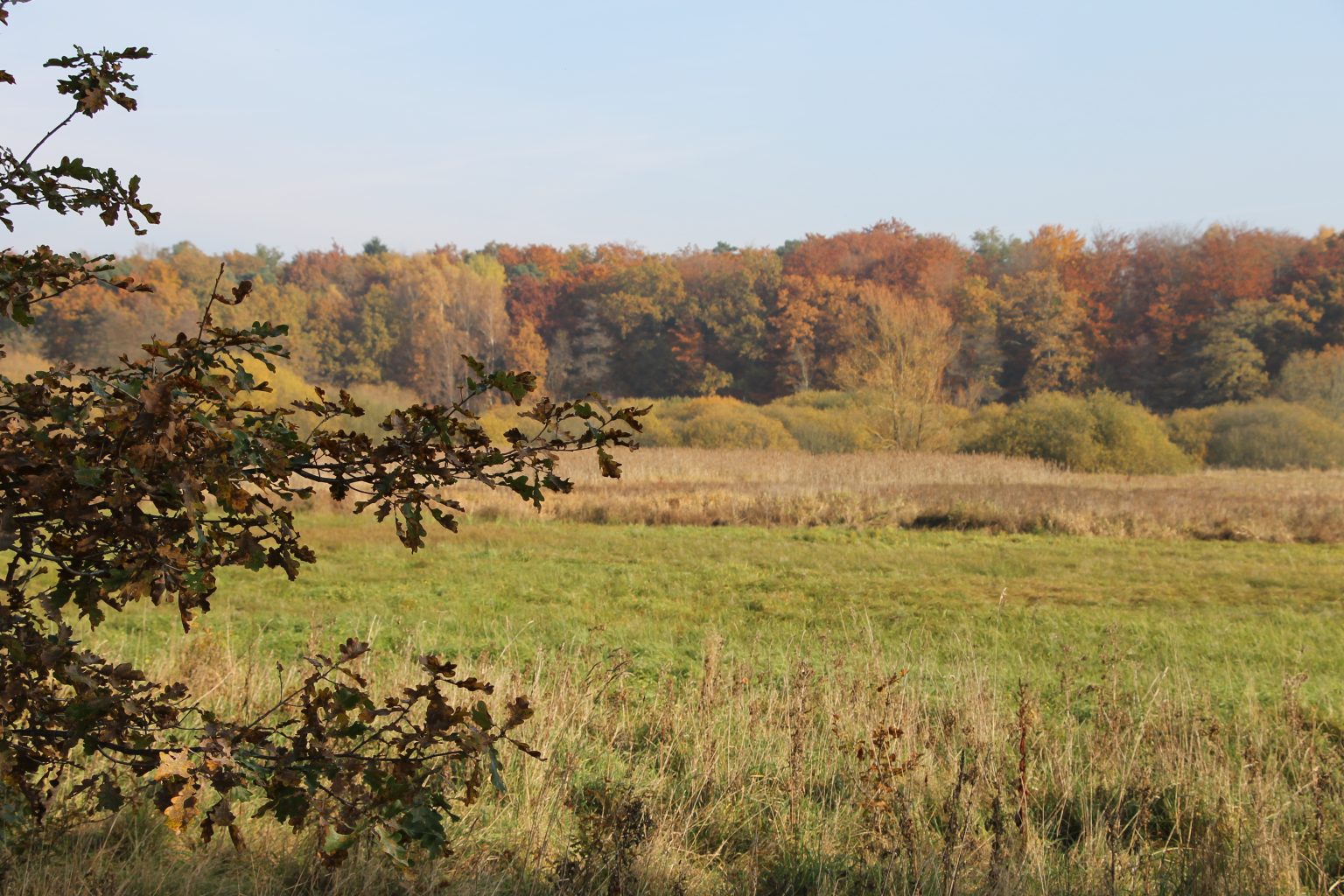 Herbstimpressionen