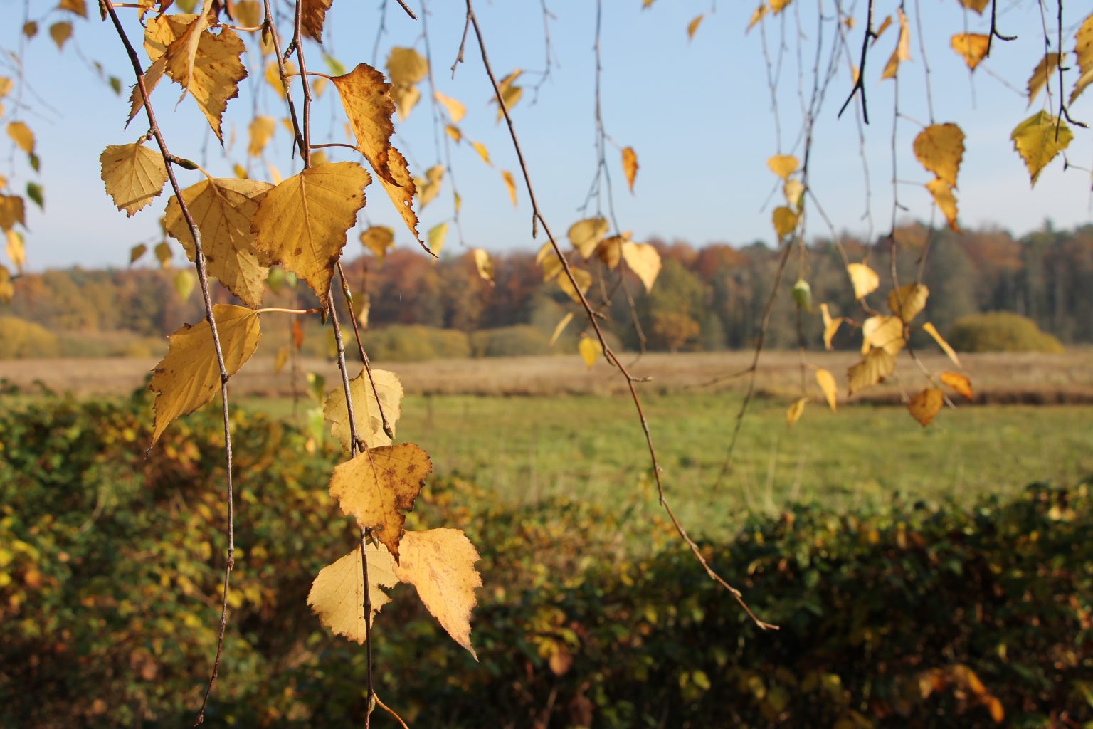 Herbstimpressionen