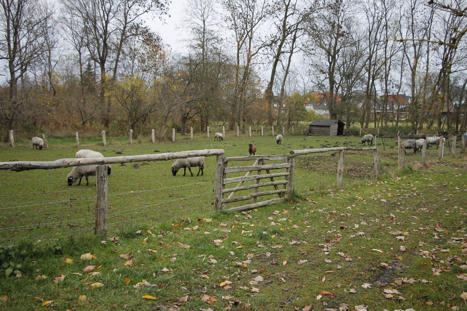 Gutshof Woldzegarten