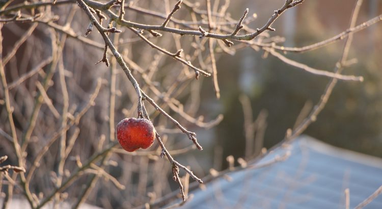 Winterlandschaft