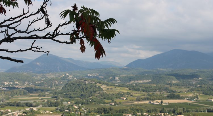 Provence Landschaft