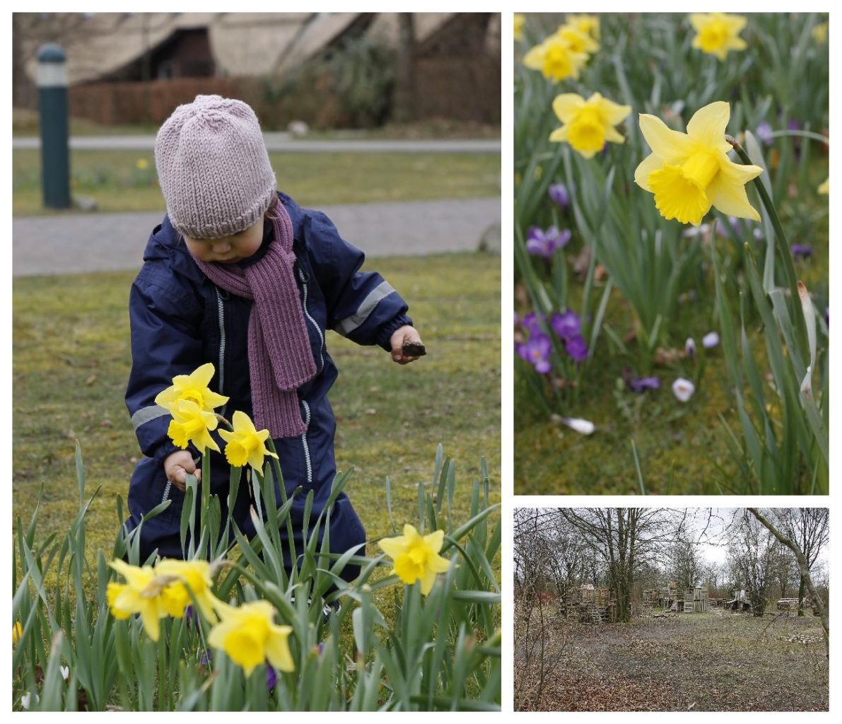 Landal Ferienpark Hof van Saksen