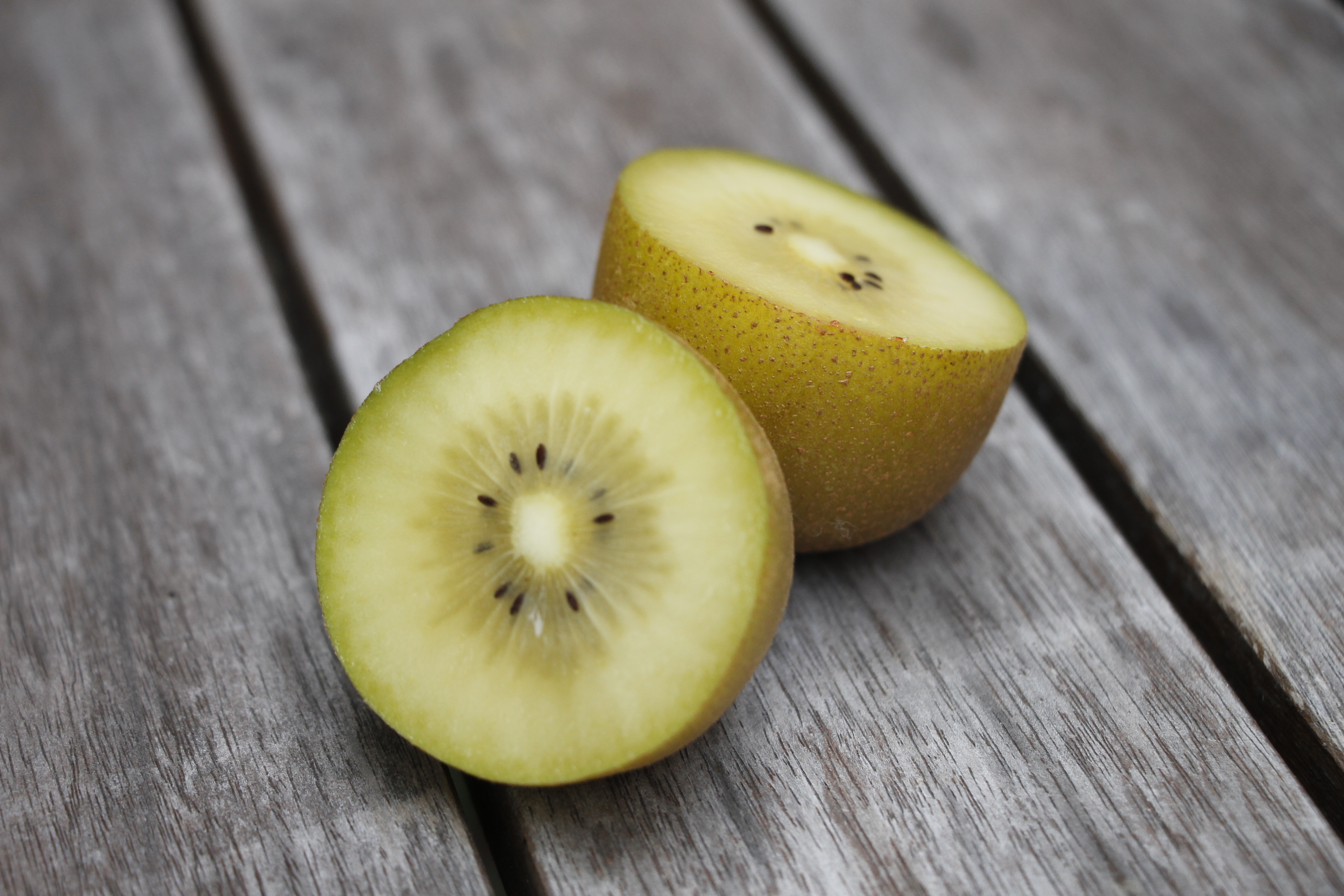 SunGold Kiwi