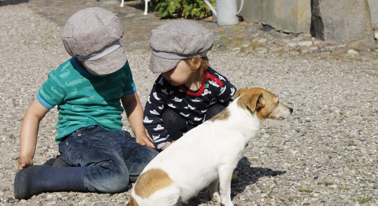 Kinder streicheln Hund auf dem Ferienhof Wichtelweide auf der Insel Fehmarn