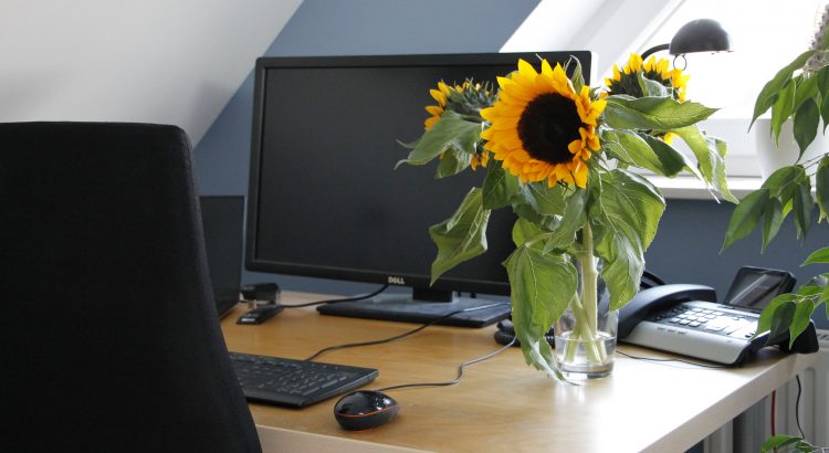 Sonnenschutz für Dachflächenfenster