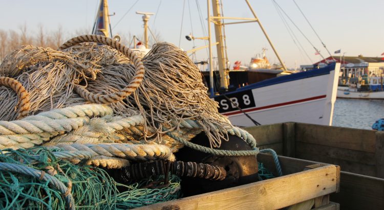 Hafen Burgstaaken BestFeWo