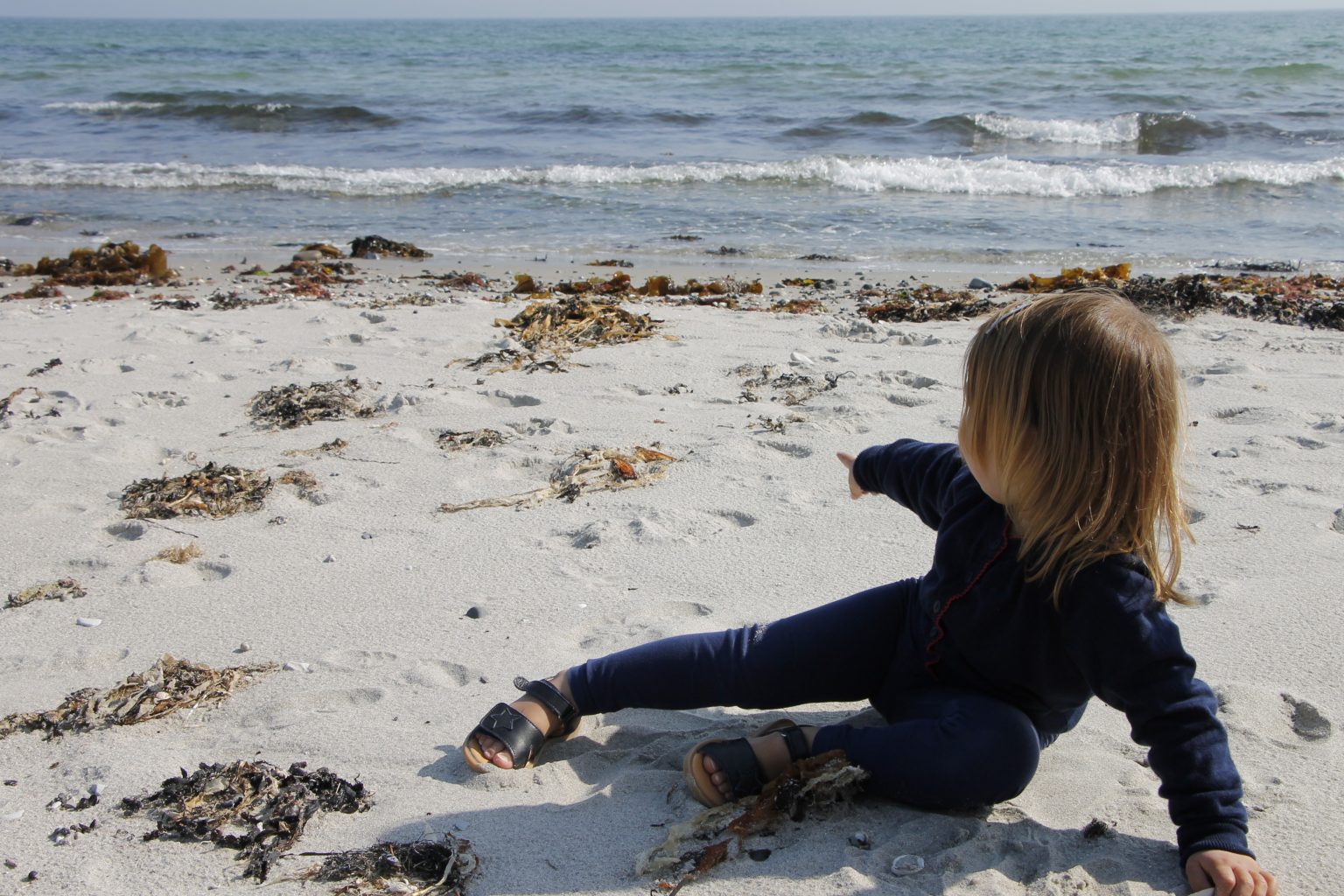 Dänemark Ebeltoft Strand