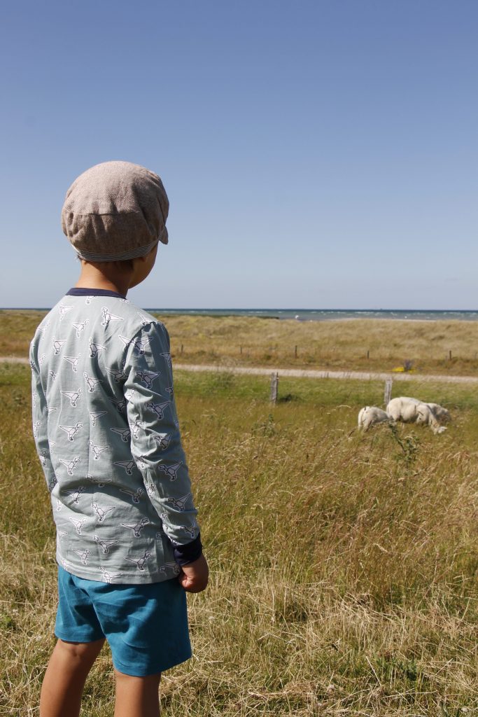 Fehmarn mit Kindern