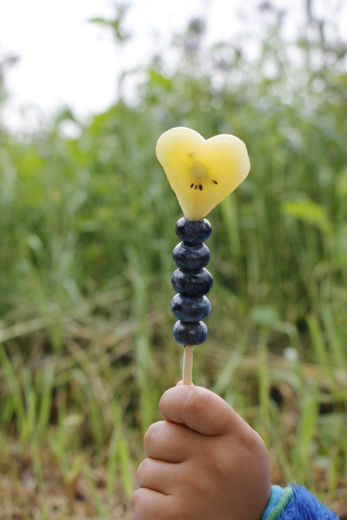 Obstspieße Kinder Zespri