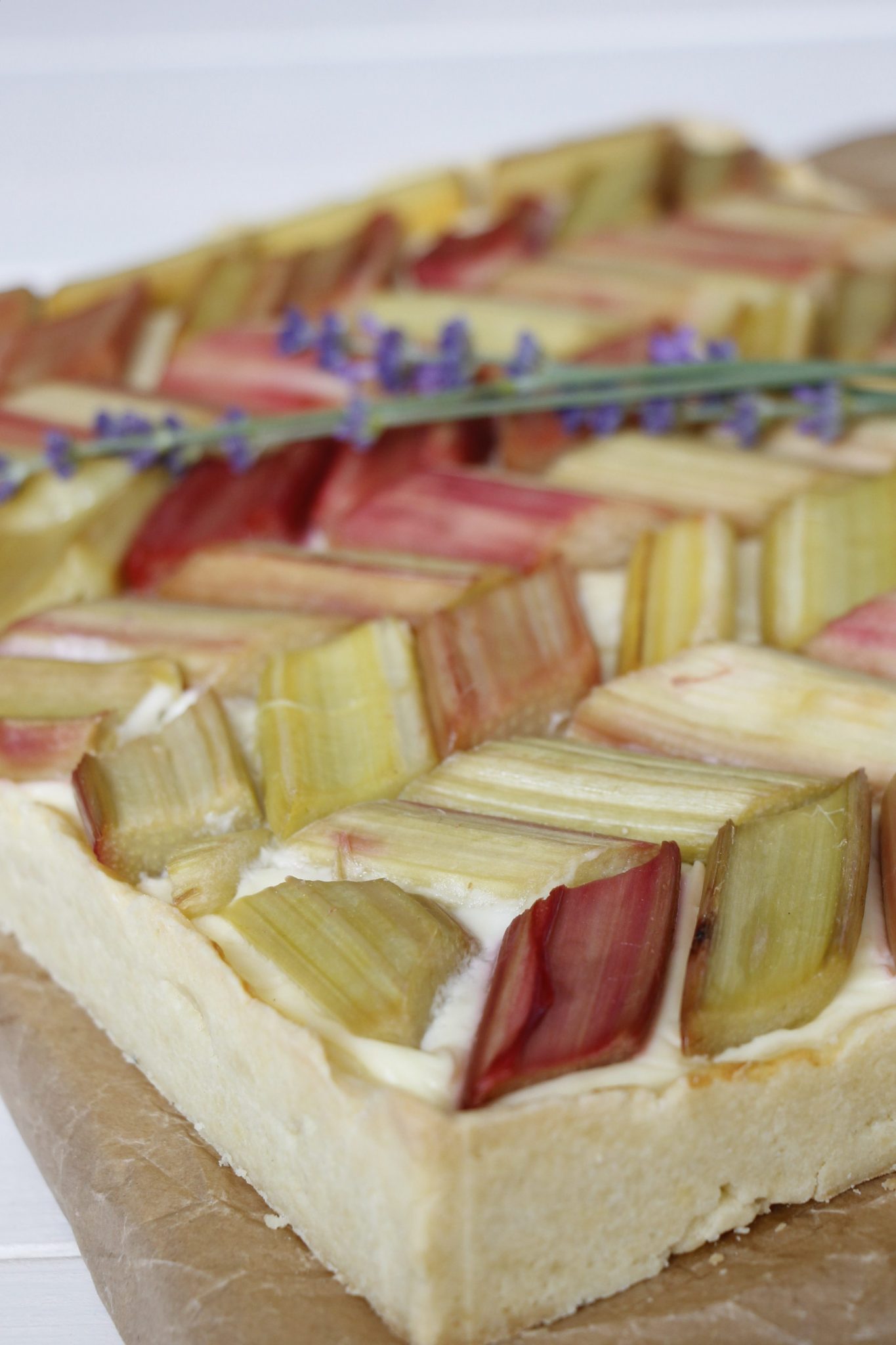 Rhabarber-Pudding-Kuchen: Rezept für glückliche Juni-Tage - Lavendelblog