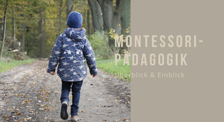 Montessori-Pädagogik Überblick