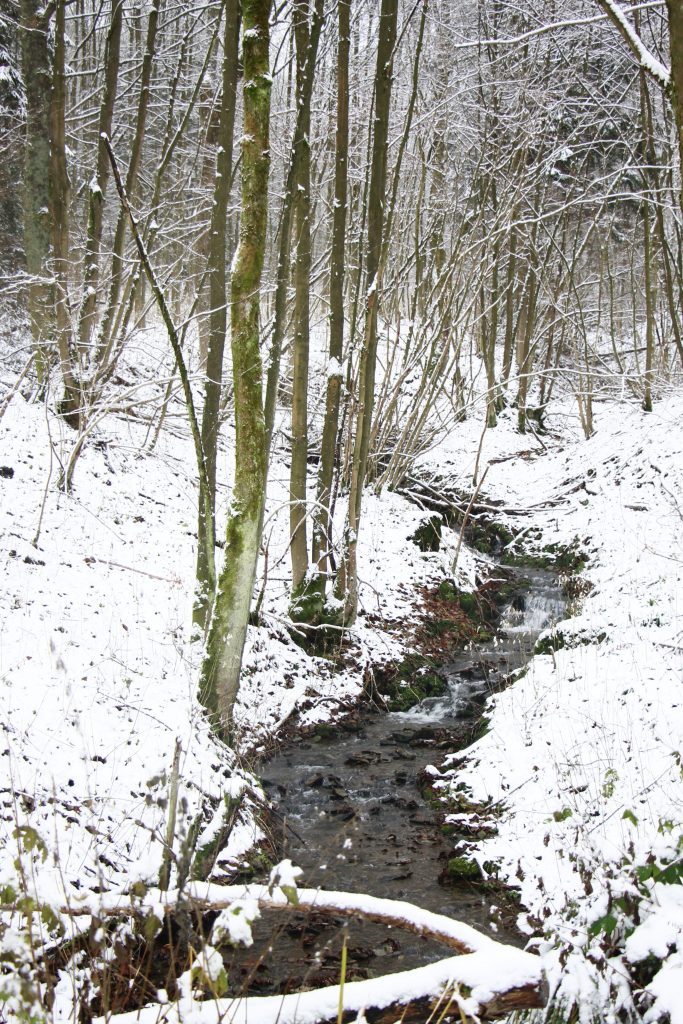 Winter Fluss