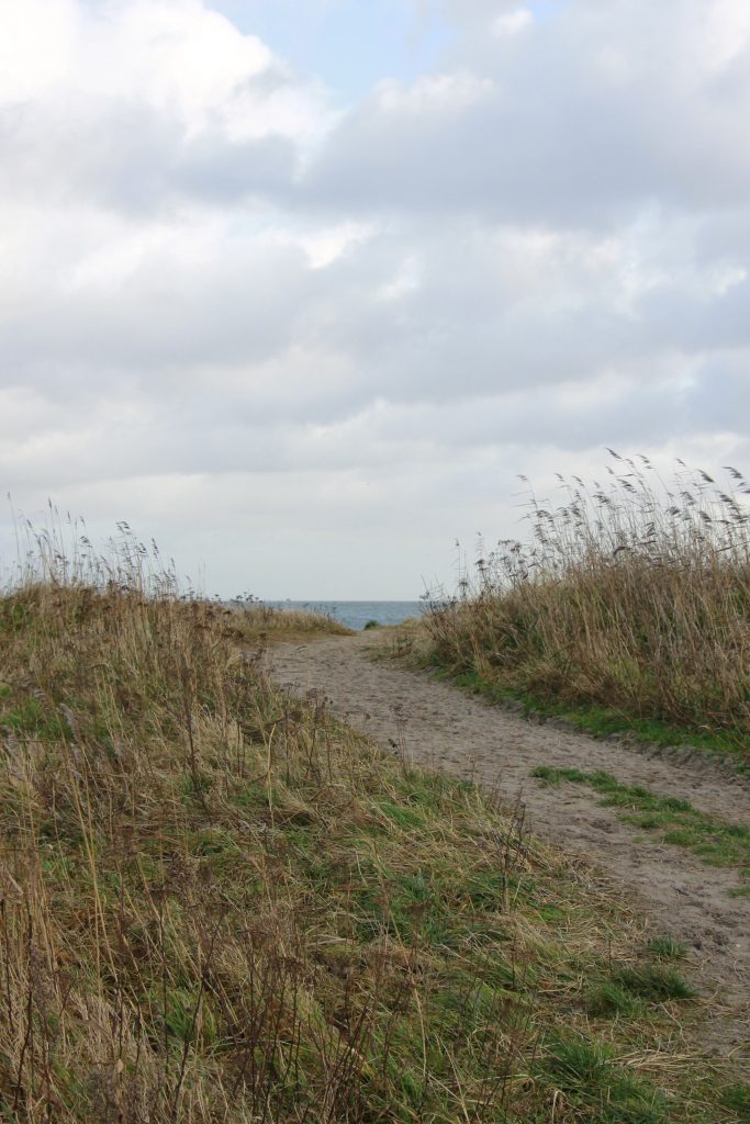 Hesnæs Strand