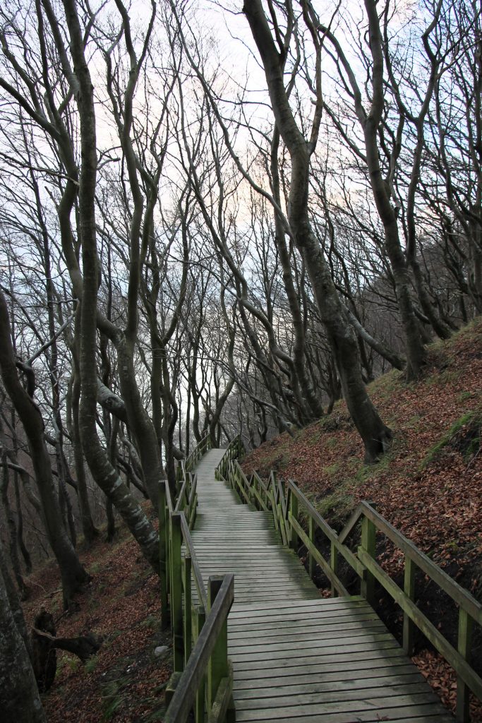 Mön Kreidefelsen