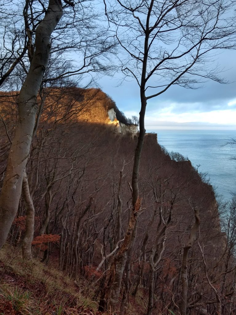 Møns Klint mit Kindern Tipps