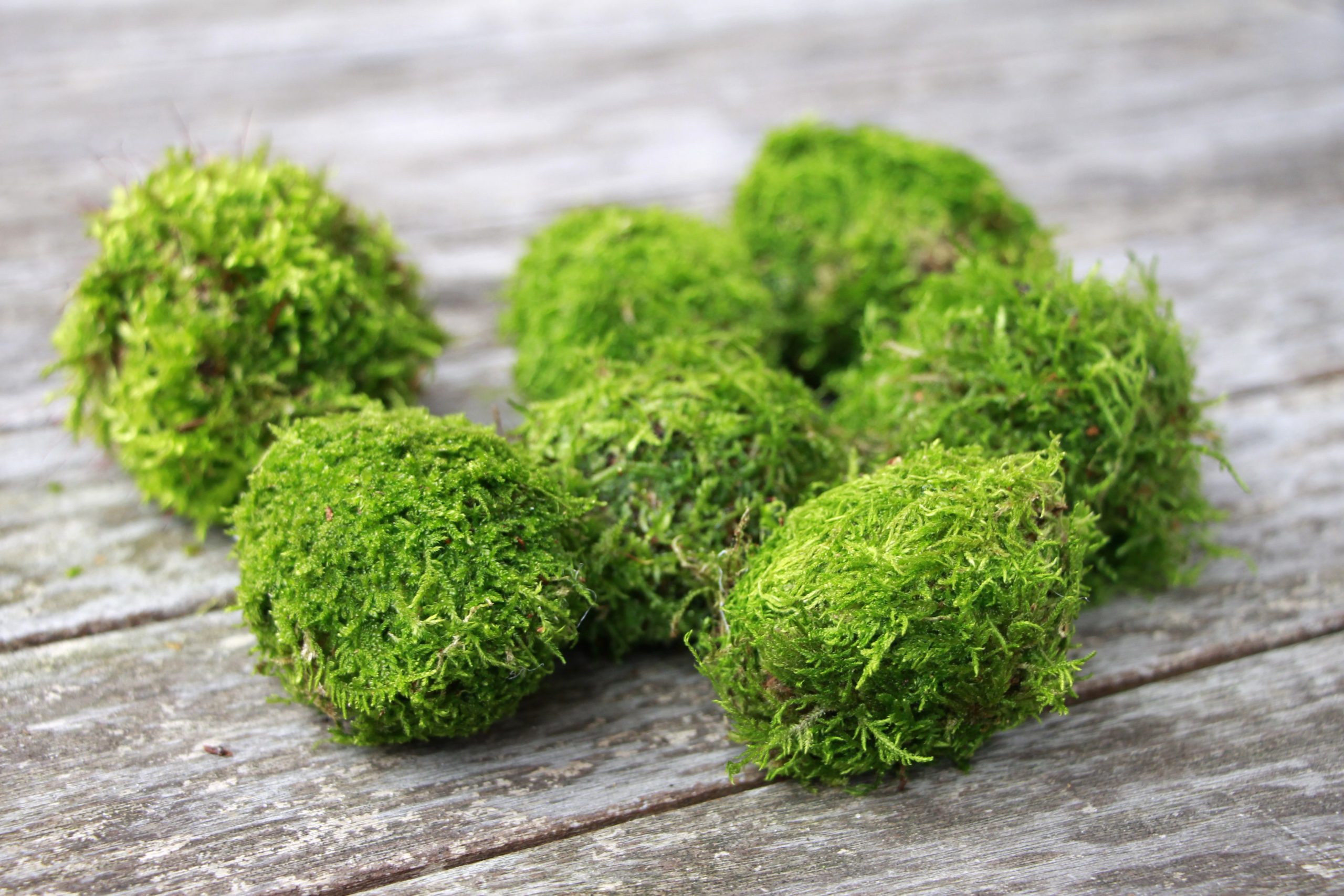 Ostern Bastelidee Fur Erwachsene Lavendelblog