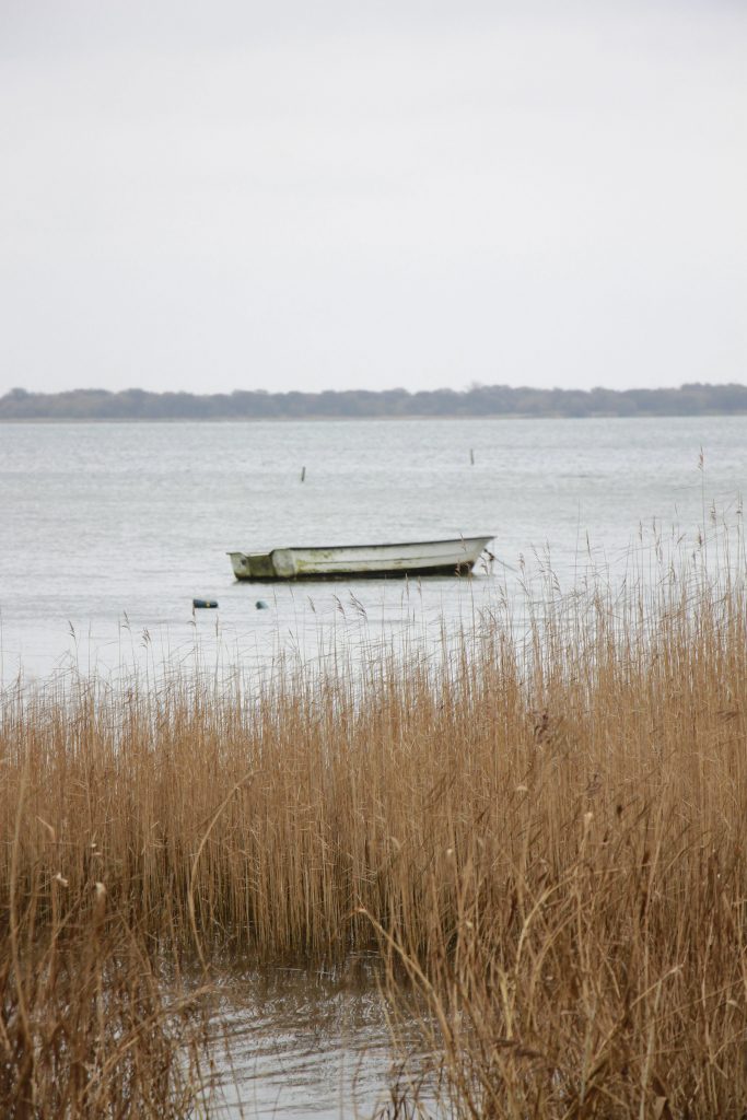 Skejten Dänemark