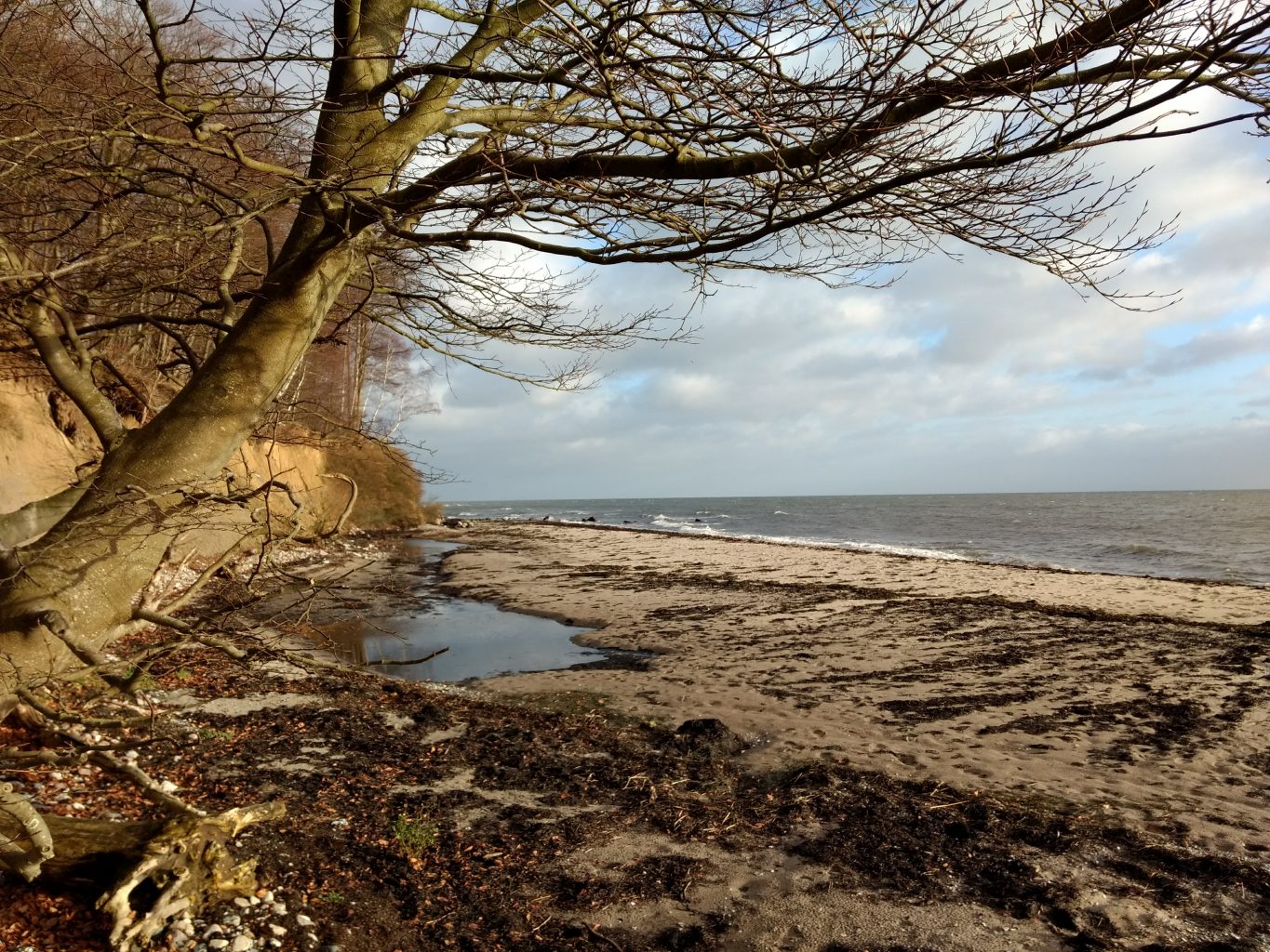 Steilküste dänische Ostsee