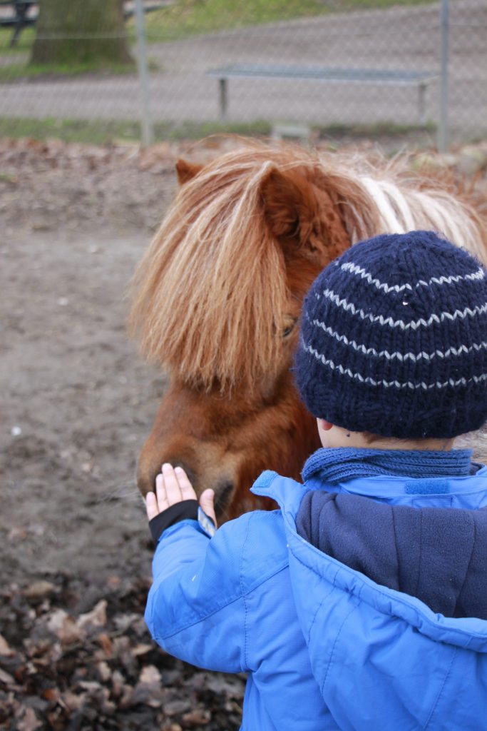 Tierpark Nykøping Falster