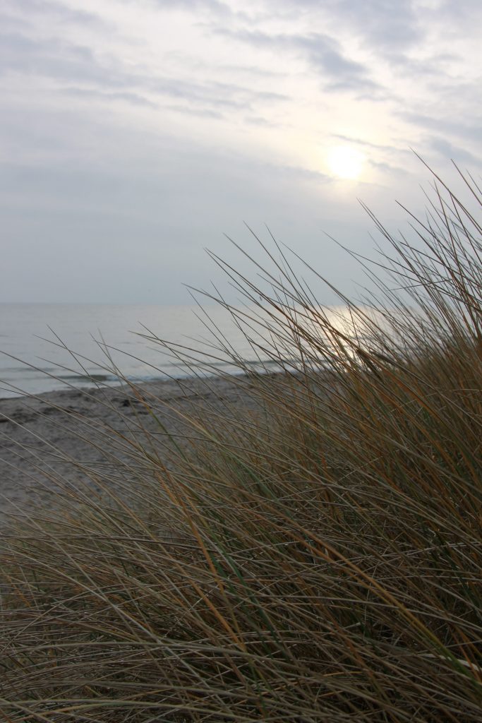 bester Strand auf Falster