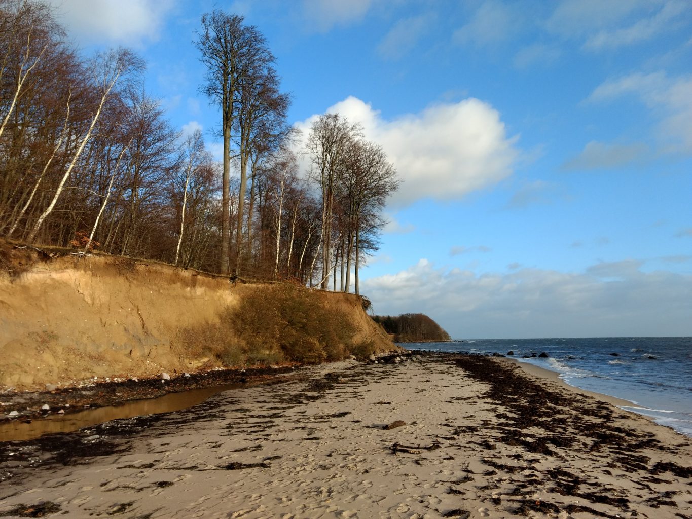 schöner Strand auf Falster