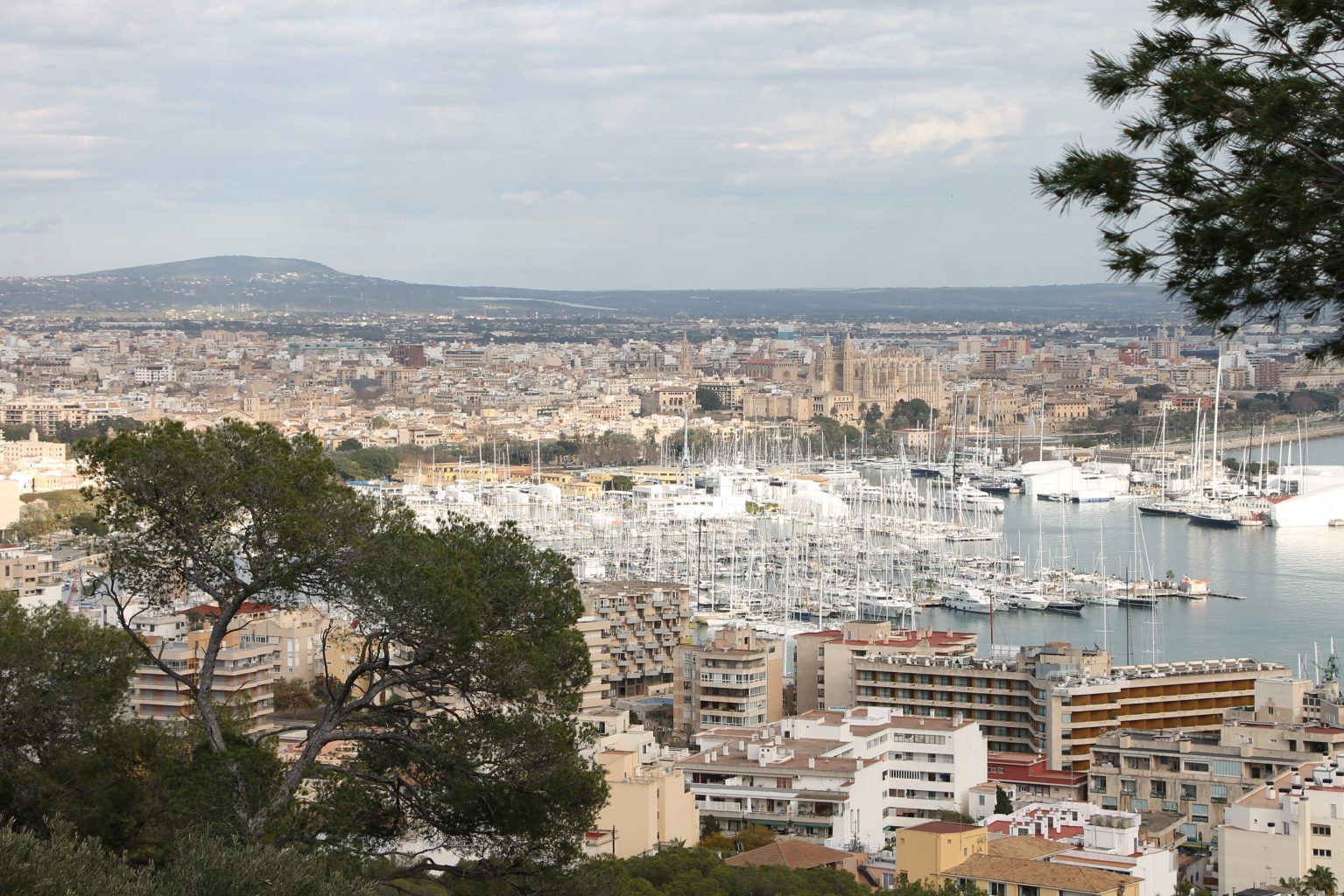 Ausblick über Palma Tipp