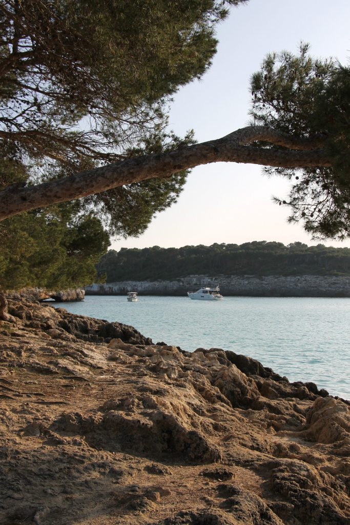 Naturschutzgebiet Mallorca Mondragó