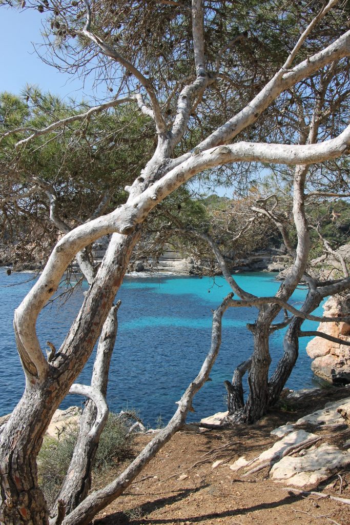 Wanderroute Mallorca Tipps