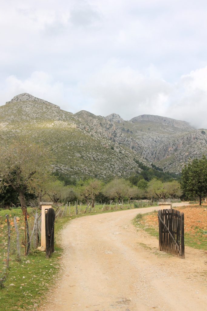 Wanderungen mit Kindern Mallorca Tipps