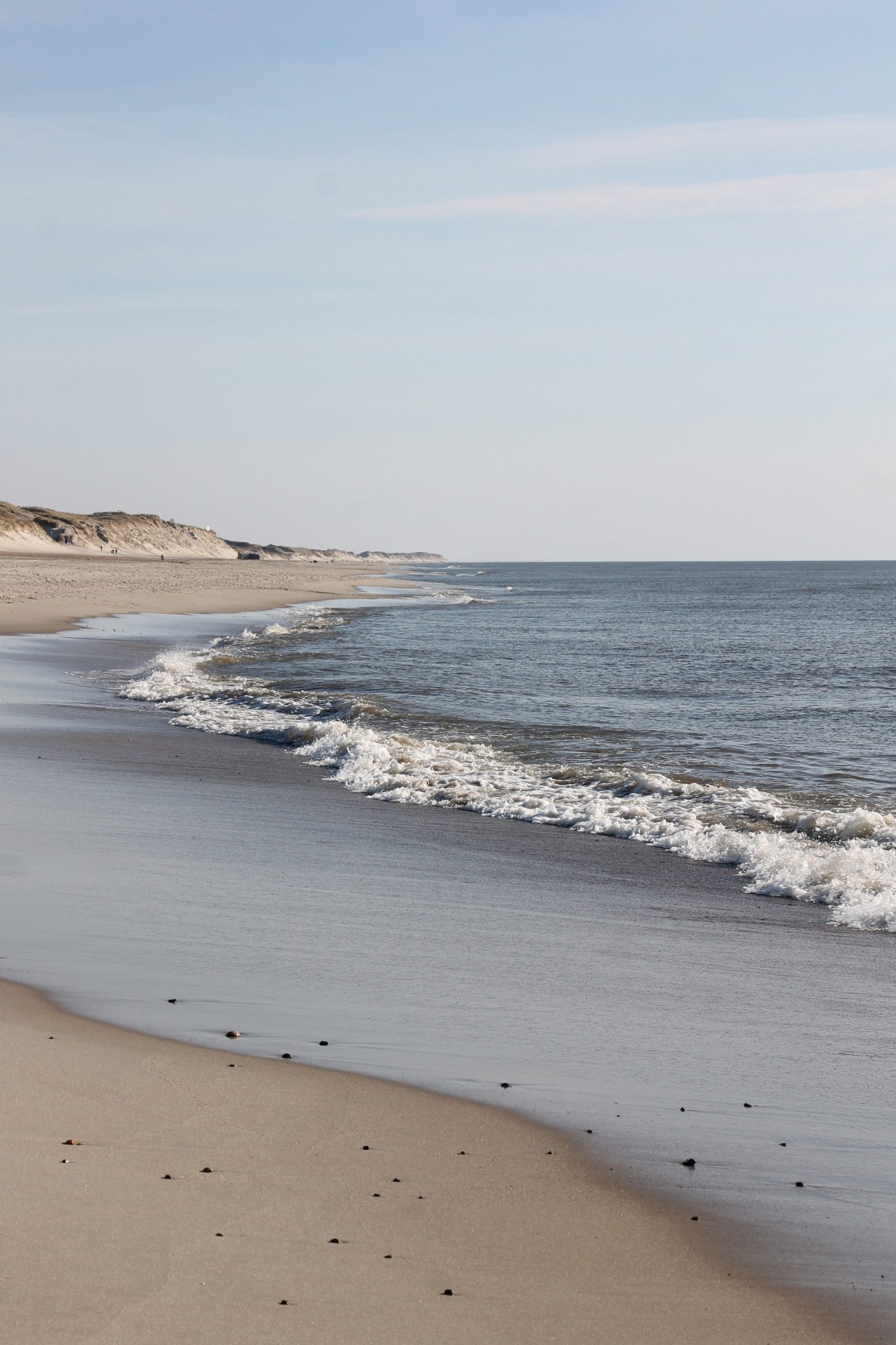 Danemark Strand Lavendelblog