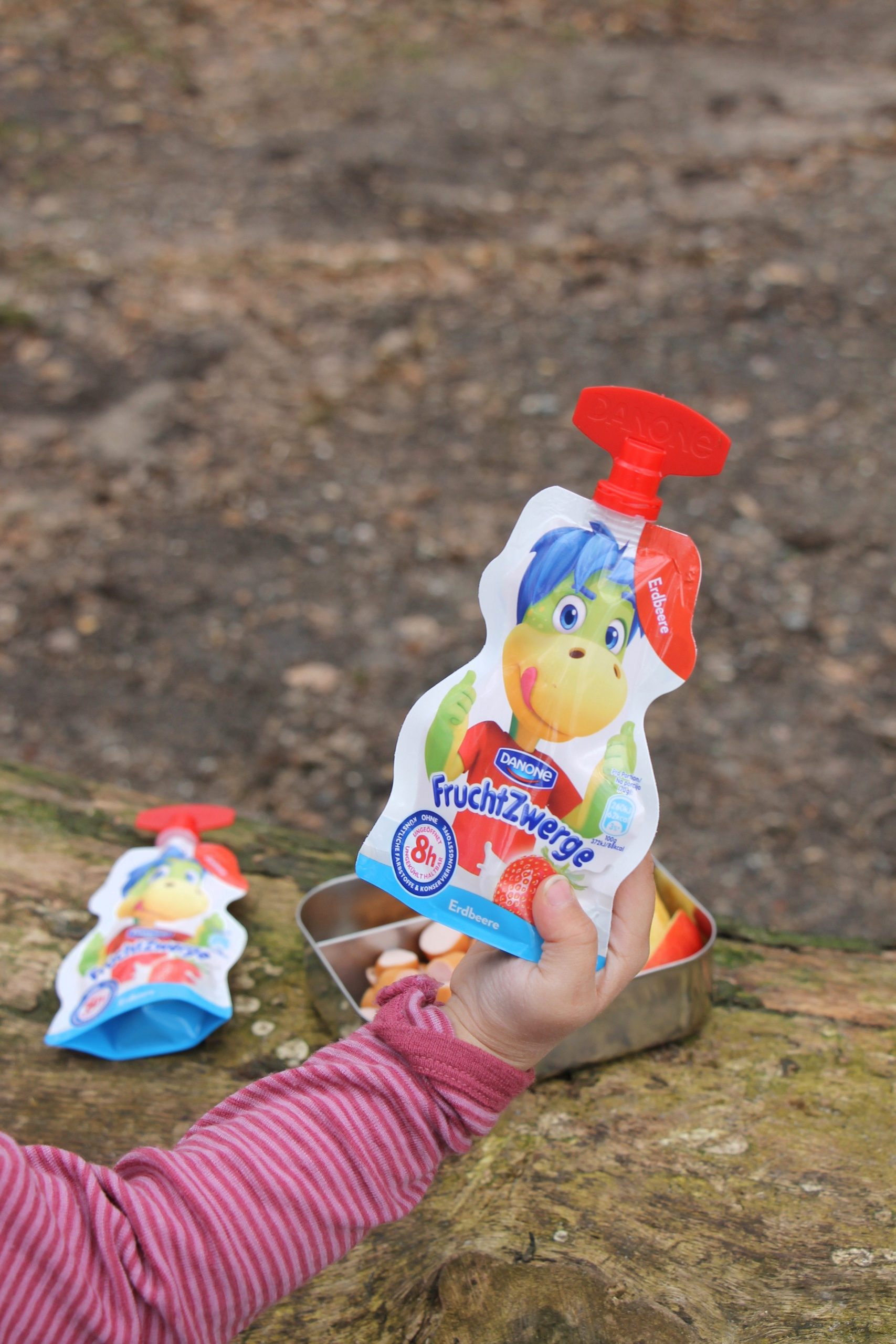 FruchtZwerge für unterwegs Lavendelblog