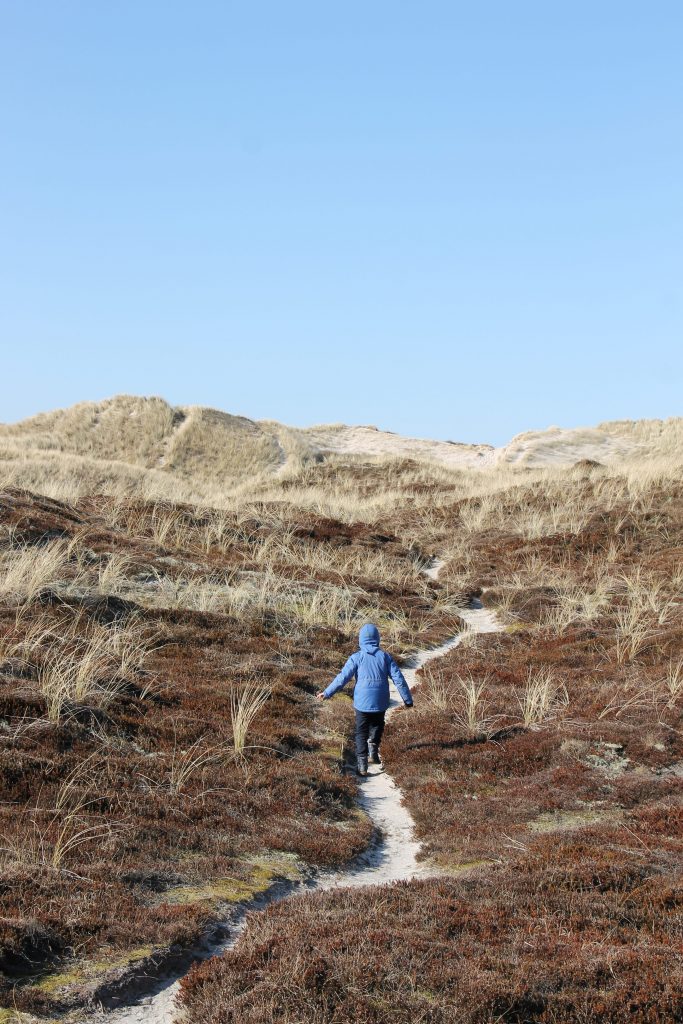 Nørre Lyngvig Strand