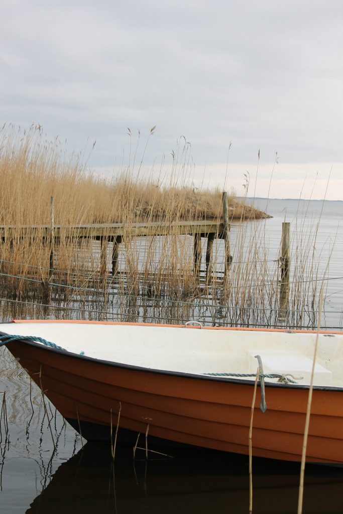 Ringkøbing Fjord Tipps