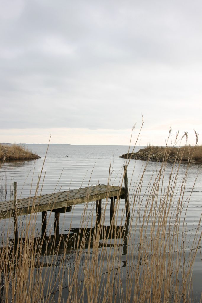 Ringkøbing Fjord schöne Ecken