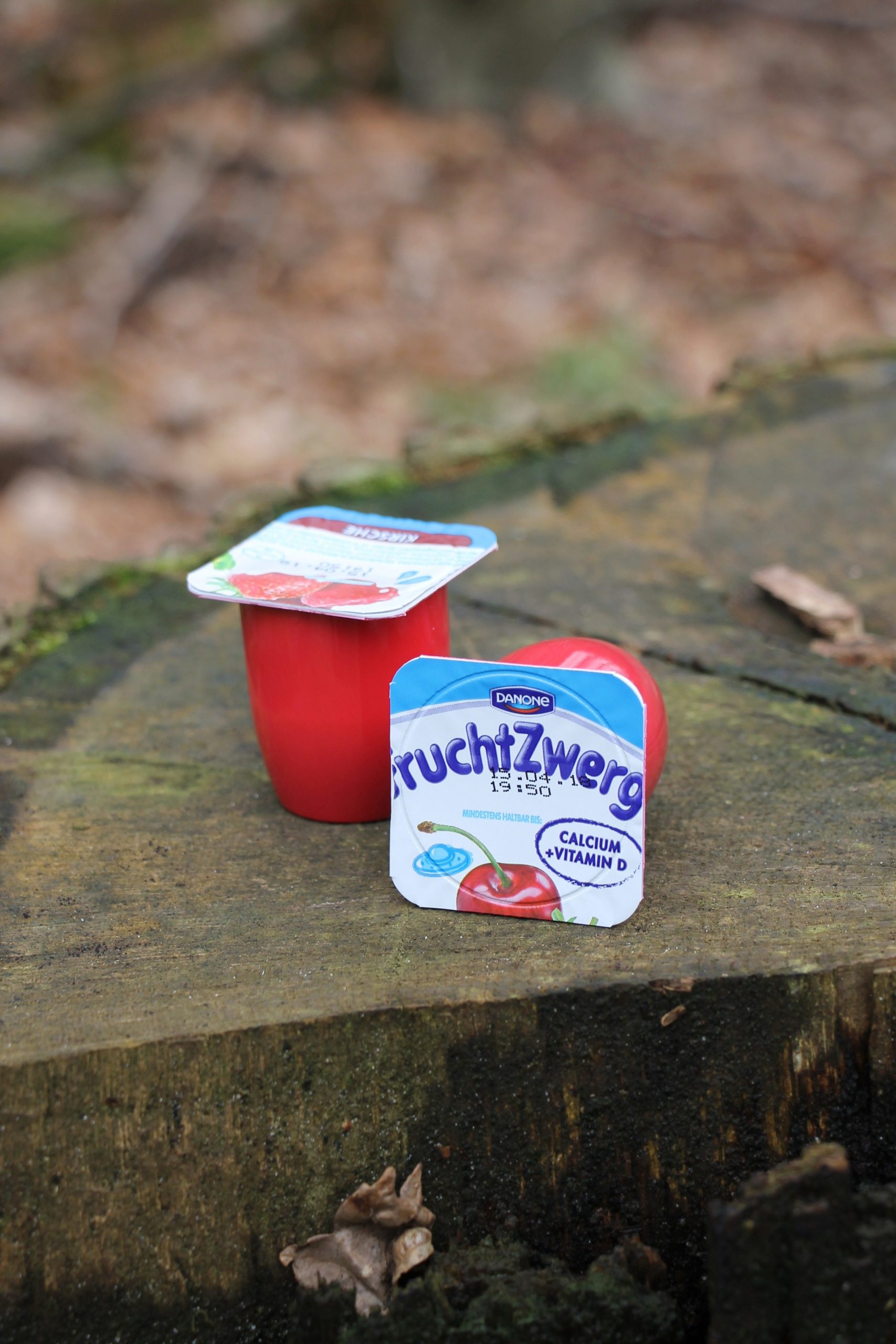 schnelle Snacks für Kinder Ideen FruchtZwerge - Lavendelblog