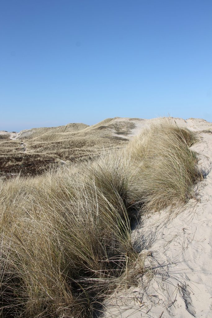 schönster Strand Westküste Dänemark