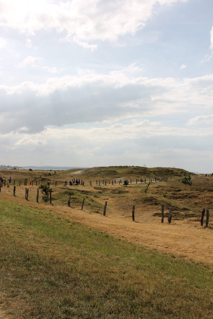 Dünen Weissenhäuser Strand