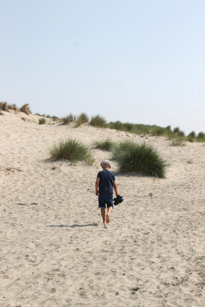 Eindrücke Hoek van Holland