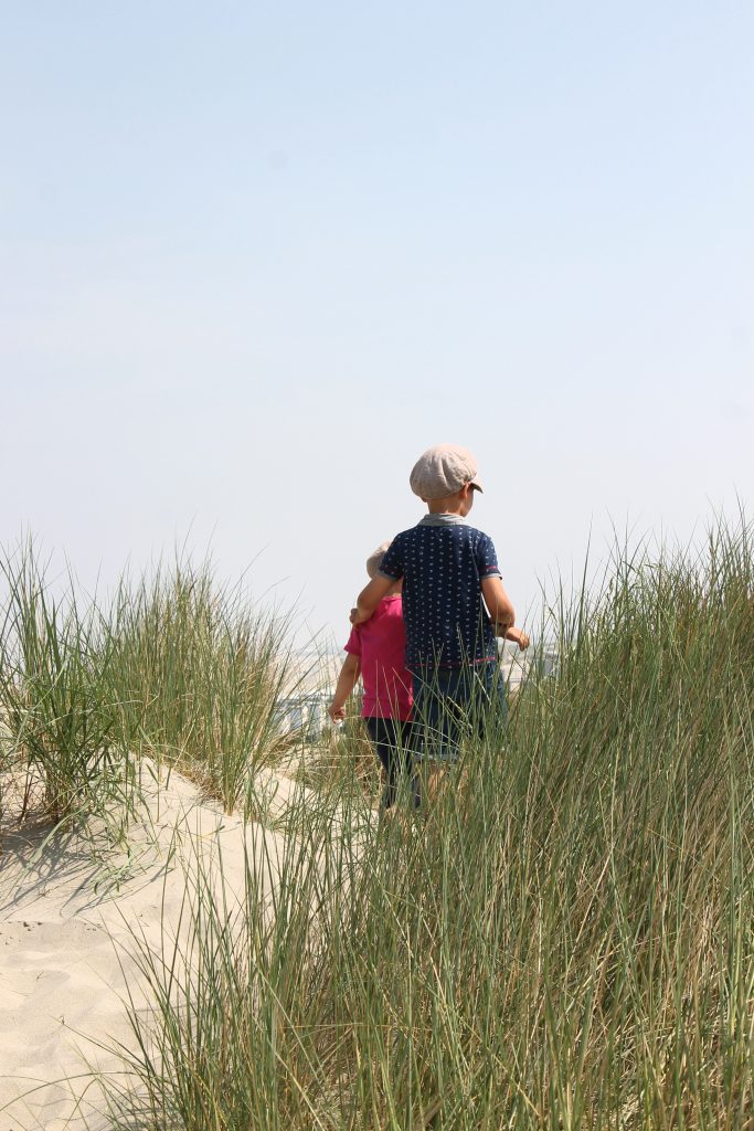 Hoek van Holland Strand Dünen