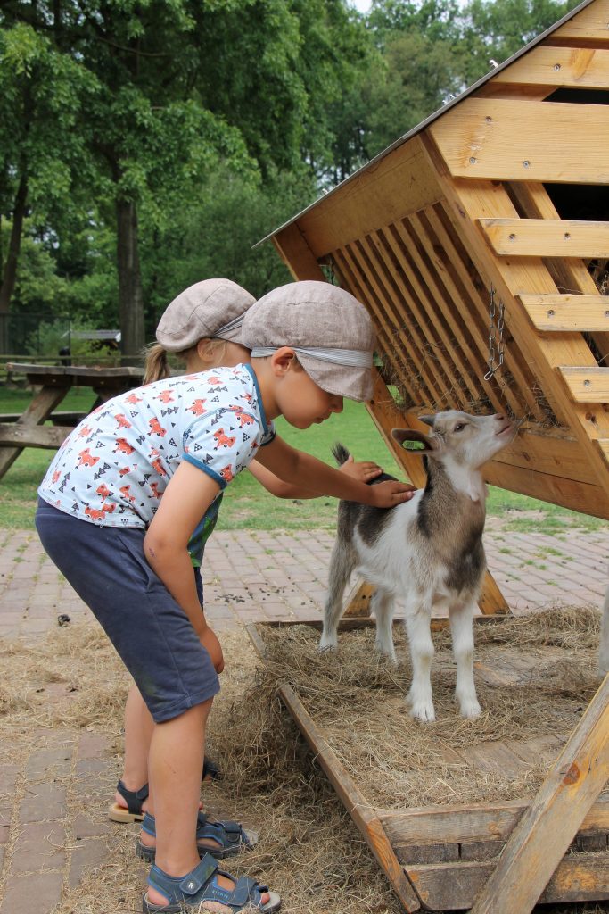 Kinderboerderij Freriks Winterswijk