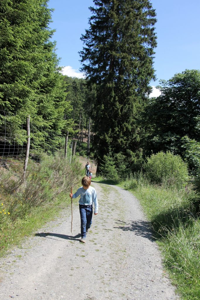 Wandern im Sauerland Tipps