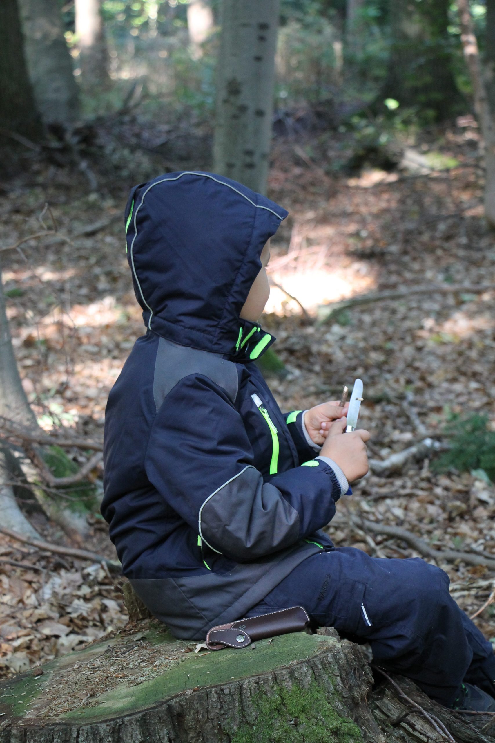 Lernen im Wald Montessori