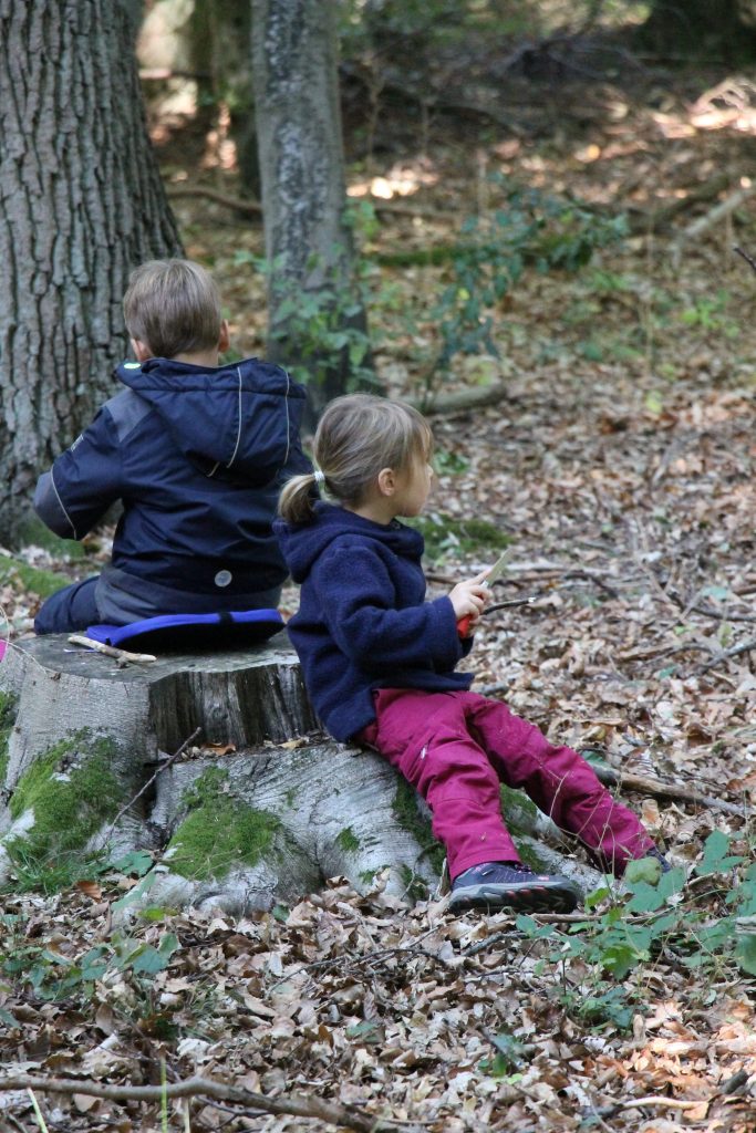 Montessori Waldtag