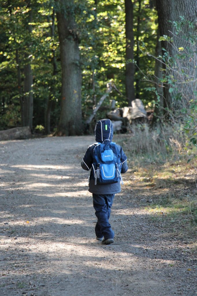 Waldtag Montessori Schule