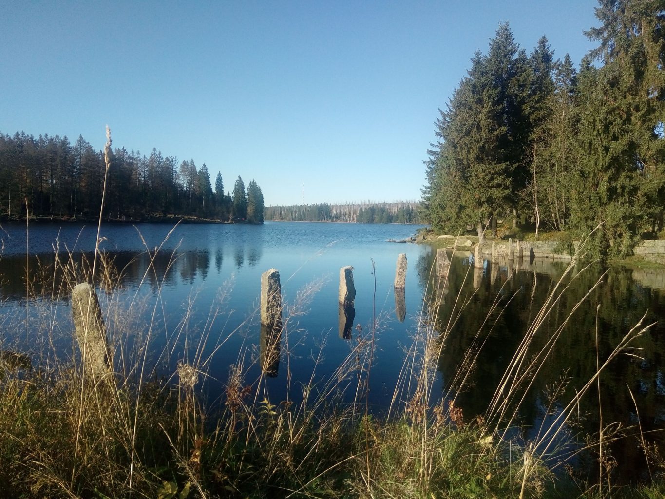 Familienurlaub Harz BestFewo