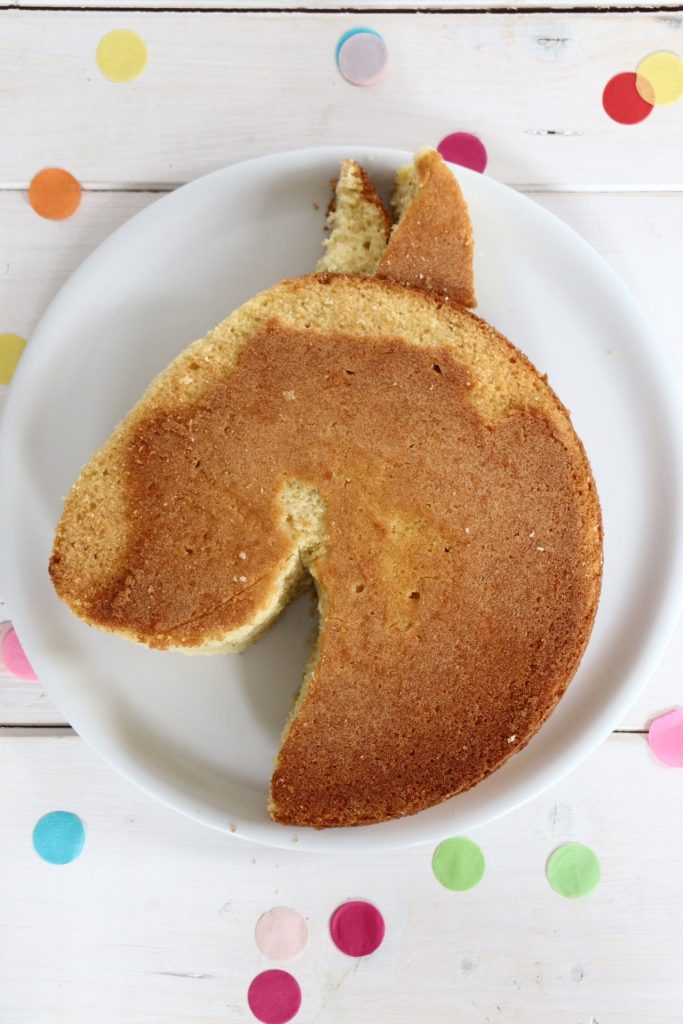 Kuchen Pferdegeburtstag