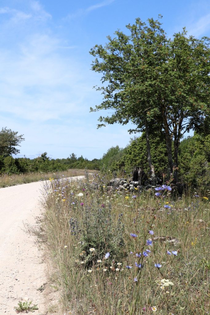 Nationalpark Vilsandi Saaremaa