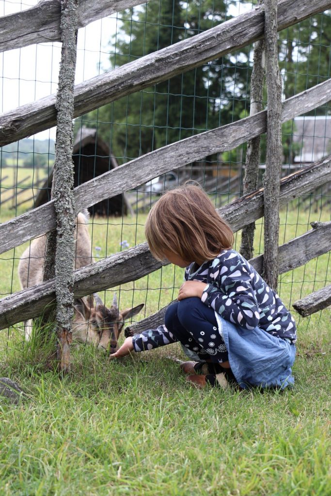 Saaremaa Highlights Estland