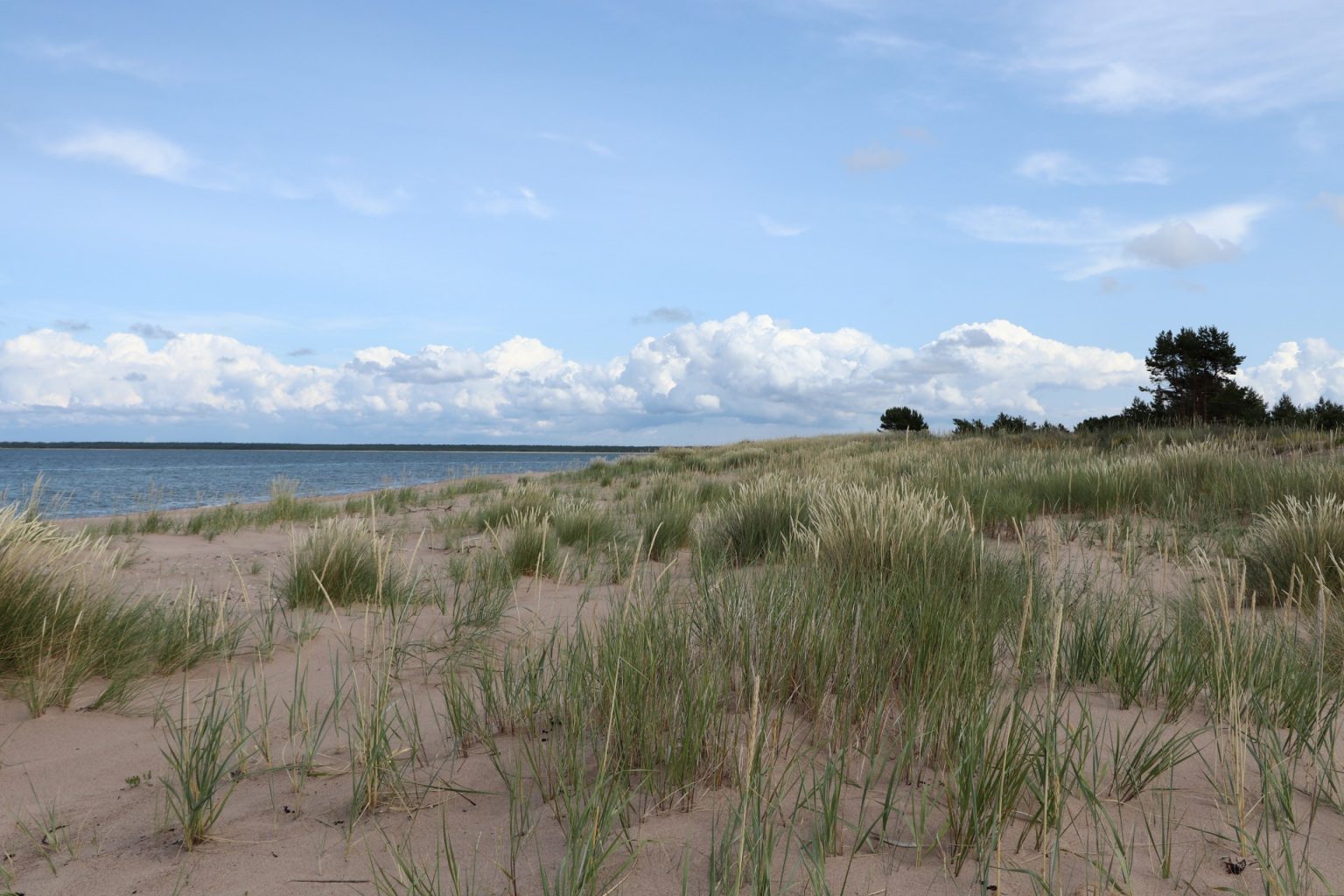 Sandstrand Saaremaa Vilsandi